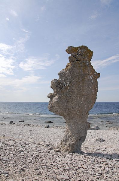 DSC_0077_redigerad-1.jpg - Raukar vid Langhammar (Fårö)